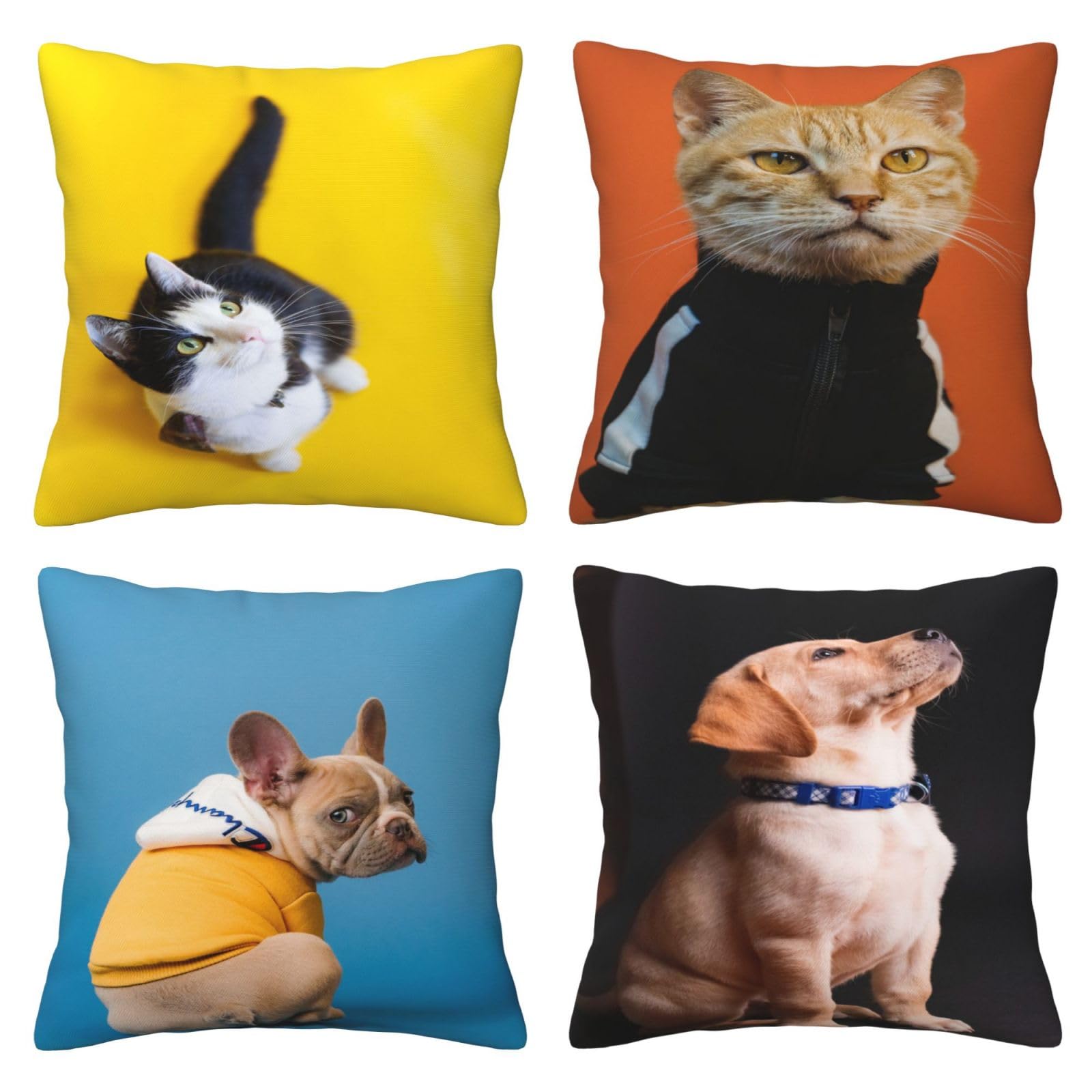 Fundas de Cojines Juego de 4 65x65cm Funda Cojin Lino Animales Cojines Decoracion Perros Fundas de Cojín Cuadradas Impresión Doble Cara con Cremallera Oculta,para Sofá Cama Decoración Hogar26x26in