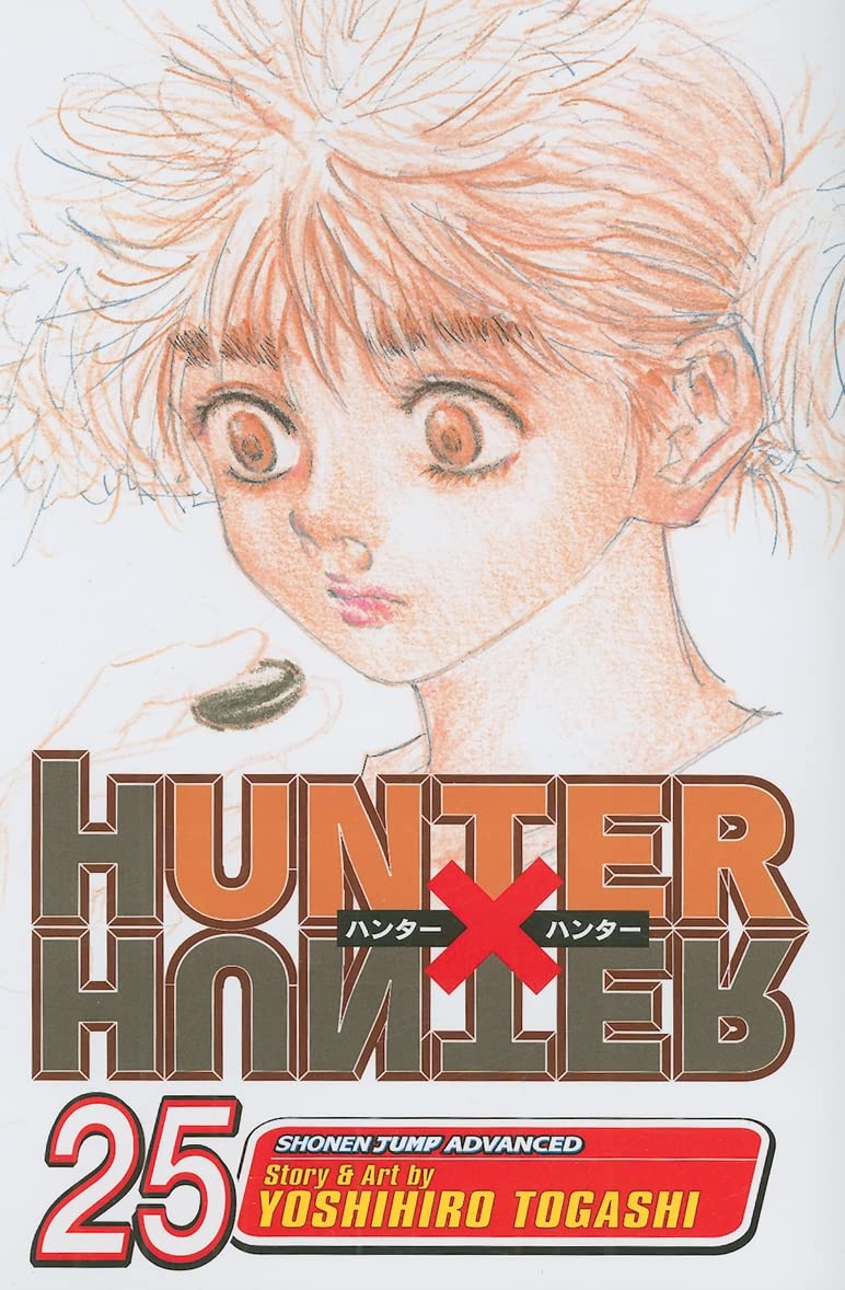 Hunter x Hunter, Vol. 25