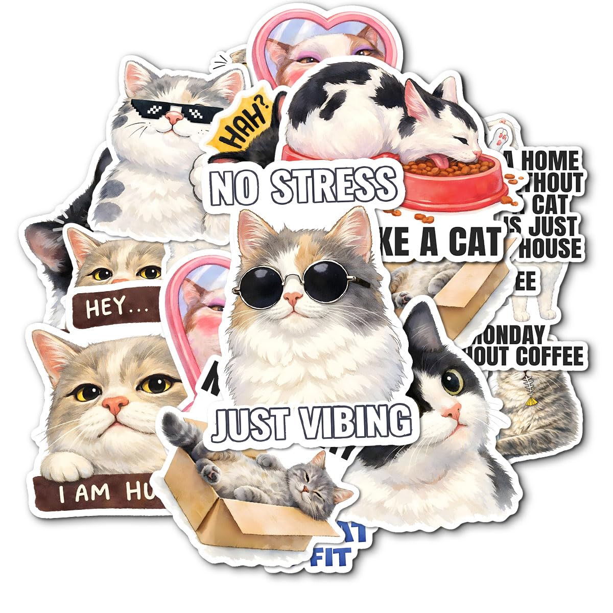 Pegatinas de gatos con frases divertidas para personalizar tu portátil o termo de agua