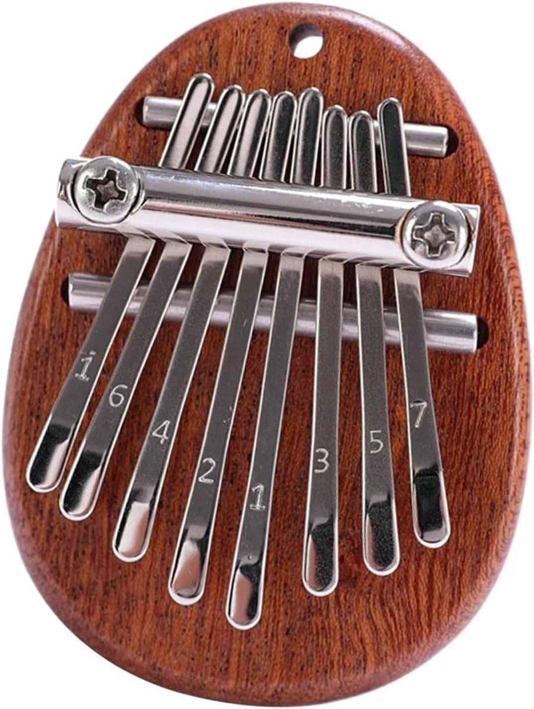 ホラガイ・法螺貝 ～戦で使う楽器と戦いました～ | 船橋市場 （船橋市