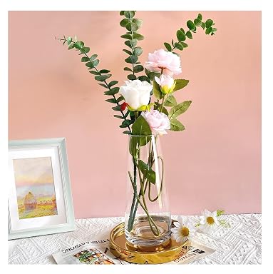 SPHINX Decorative Glass Vase for Flowers Plants Home Decor Office Living Table Decorations, Vases for Home Decor, Luster Glass Vase,Modern - (Transparent-Approx 9 Inches)