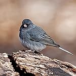 Review Image by John F. John F.