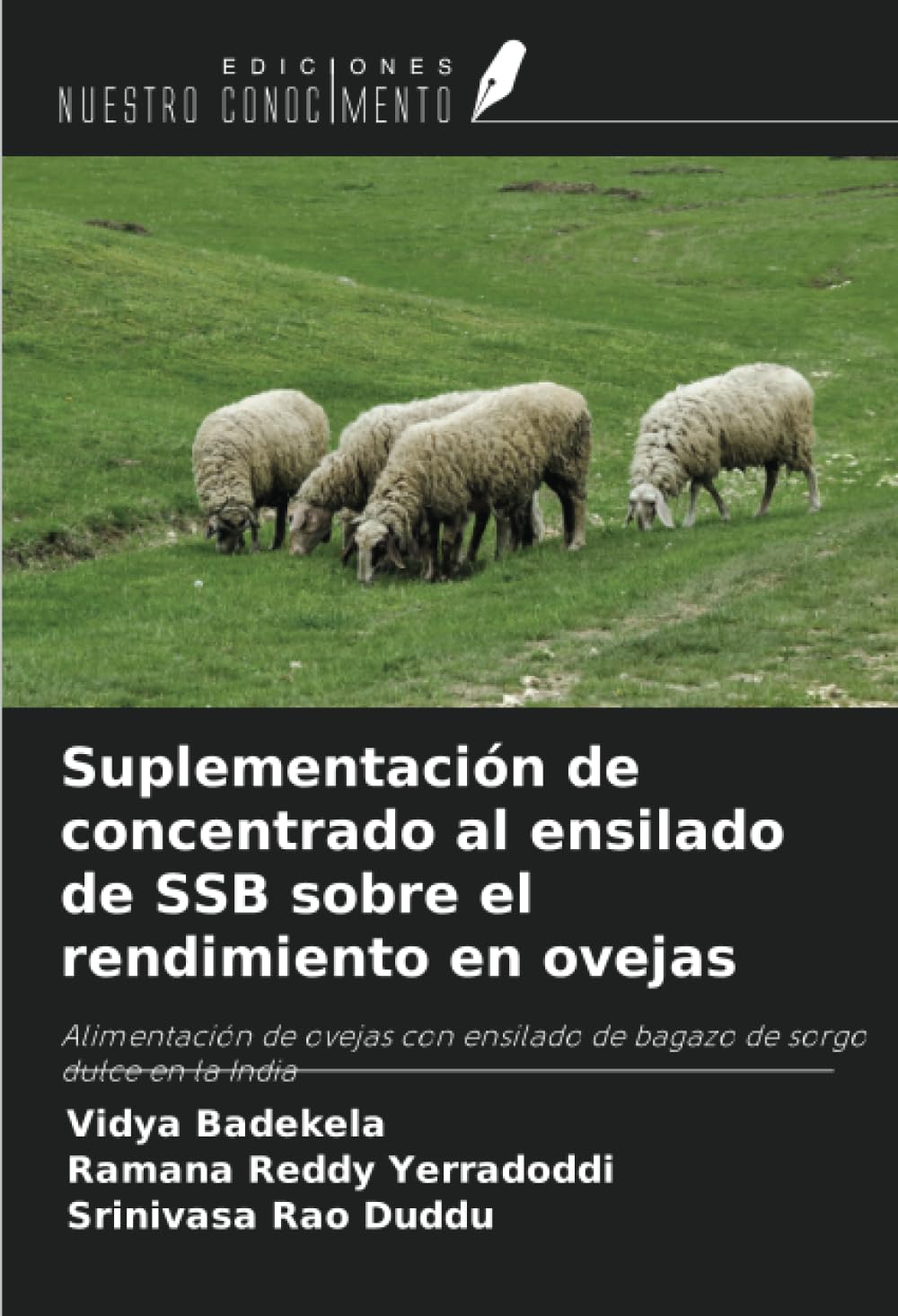 Suplementación de concentrado al ensilado de SSB sobre el rendimiento en ovejas: Alimentación de ovejas con ensilado de bagazo de sorgo dulce en la India