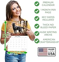 Vista 107 de Razas de Perros 2017