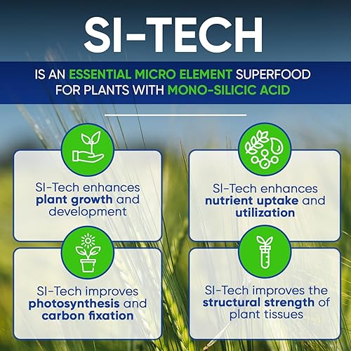 Miniatura 3 de Si-Tech, solución nutritiva vegetal de ácido monosilícico con tecnología de quelación (4 onzas líquidas)