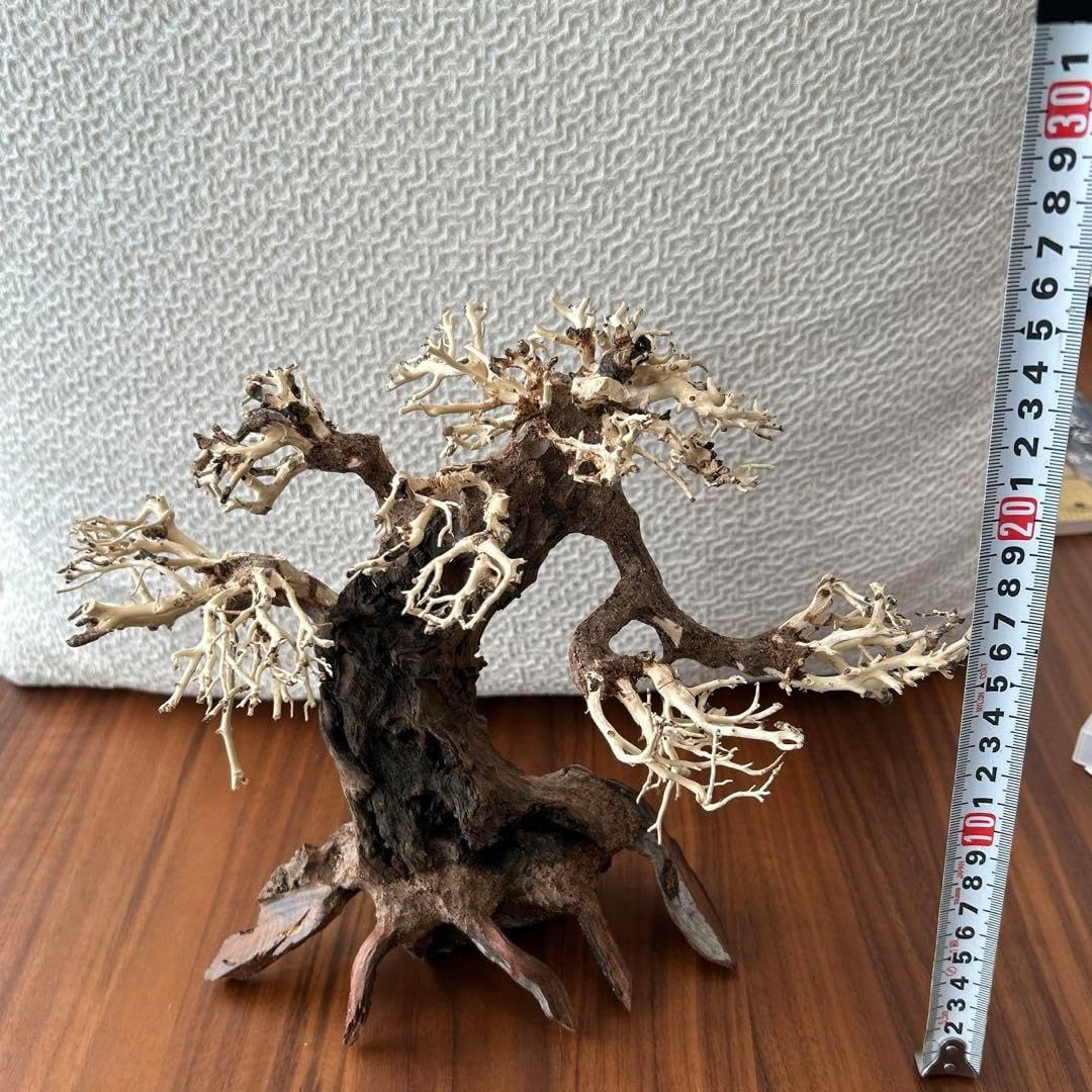 水槽用流木レイアウト 。水草用の 流木。流木アクアリウム
