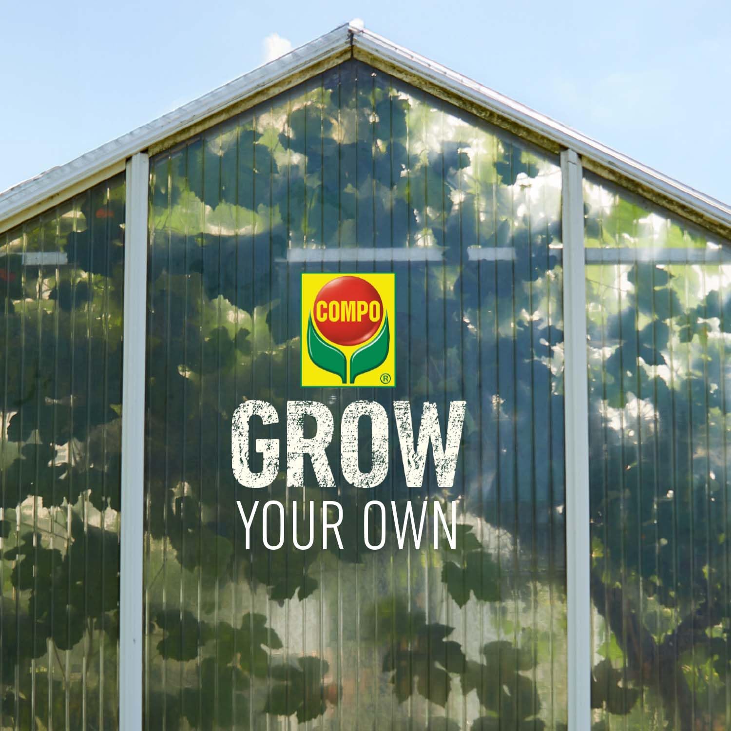 GROW Box M für die Aussaat von Spezialkulturen im Indoor- & Outdoorbereich und eine optimale Wachstums- & Blütenphase (Medium)