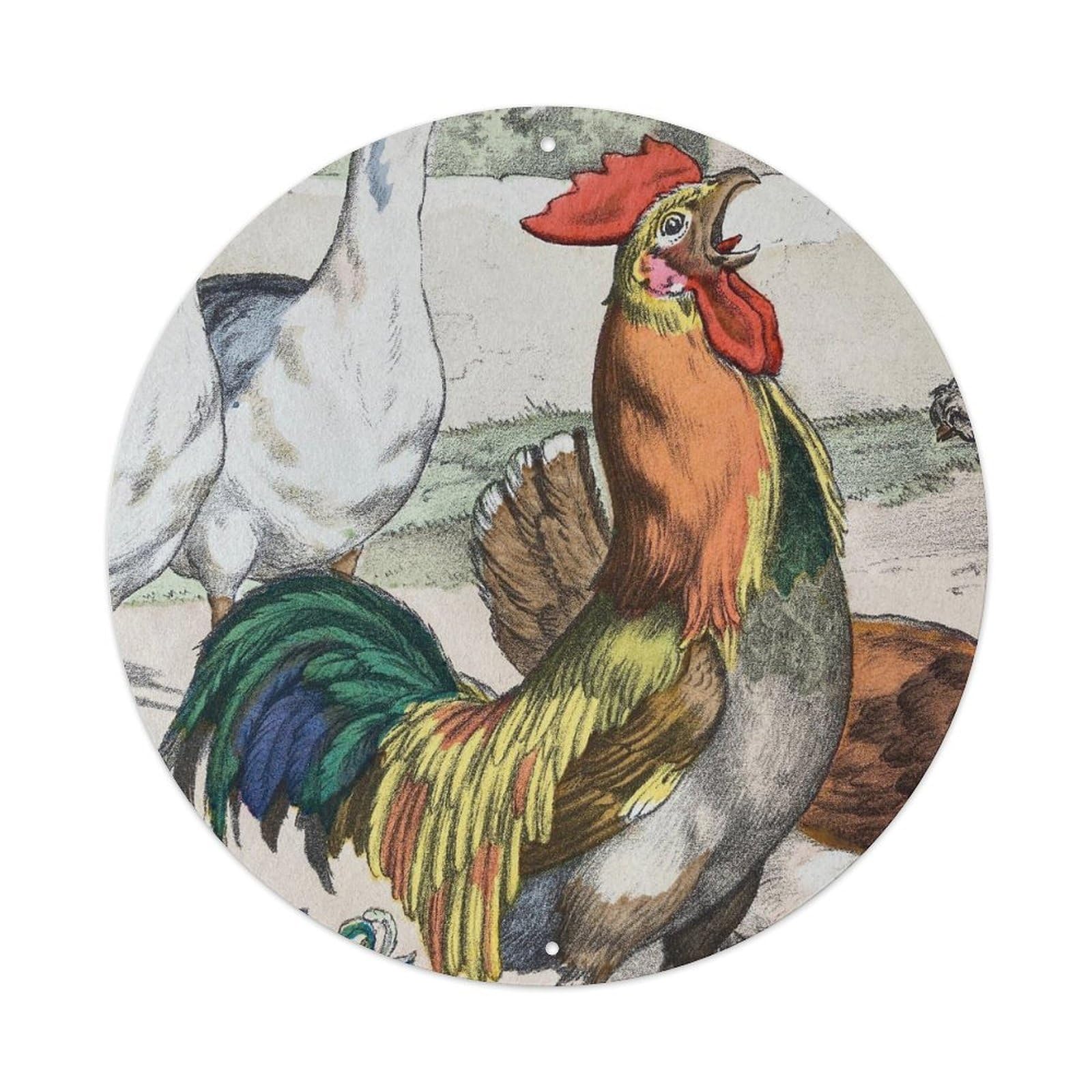 Animal Artwork Rooster & Poultry Vintage Metal Tin Sign Plaque Wall Decor for Cafe, Club Bar, Office, Garden Metal Poster 8x8Inch