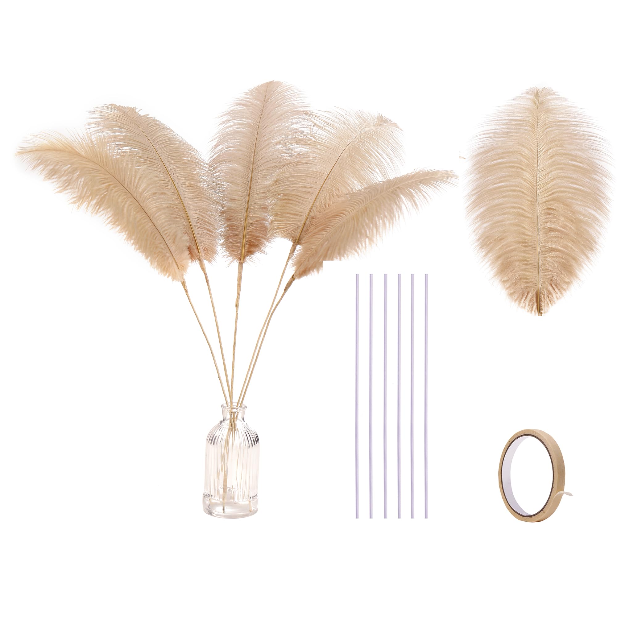 Holmgren Champagne Boho Ostrich Feathers for Vase, 10pcs 22 Inch Making Kit