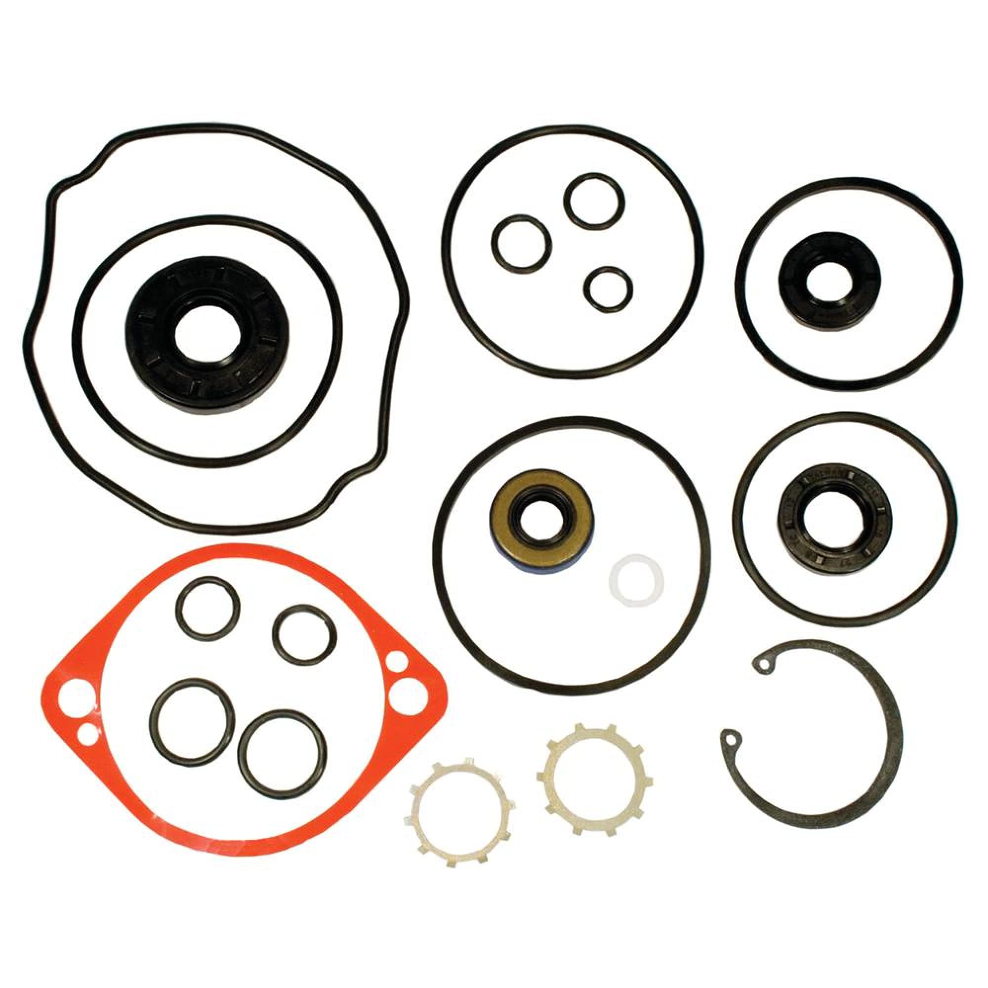 Amazon.com: Rareelectrical Hydro Pump Seal Kit Fits Gravely 991071