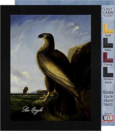 Miniatura 10 de Spotted Grous por James Audubon - Impresión sin marco, 12 x 16 pulgadas, decoración artística enmarcada para pared, reproducción de pinturas de