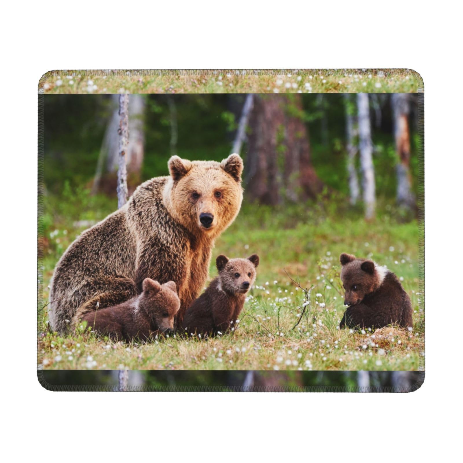 Mousepad Personalizzato YENDOSTEEN Tappetini Per Il Mouse Con Immagini Di  Animali, Rocce Tappetino Mouse Simpatico, image size:1600x1600