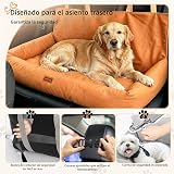 Ver la foto 3