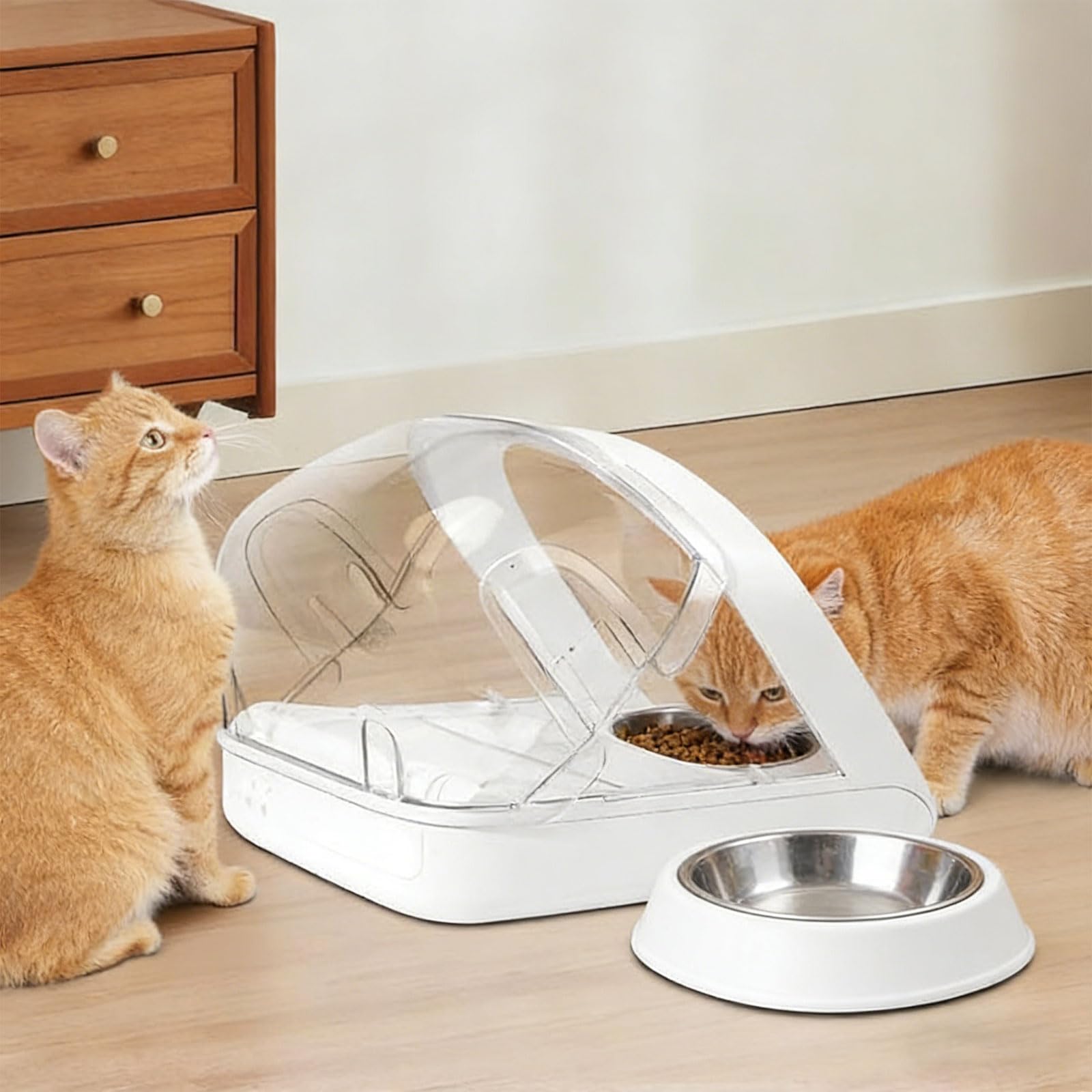 Parte trasera transparente fuerte para dispensadores de mascotas que evita el acceso no deseado a los alimentos durante el tiempo de alimentación, accesorio de alimentador automático