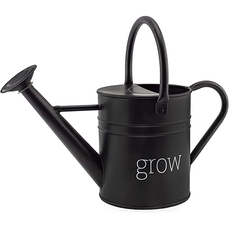 AuldHome Farmhouse Enamel Watering Can: Enhancing Outdoor Aesthetics