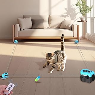 ITSHINY Electric Cat Toy, Self-Employment with Adjustable Walkways, Car and Manual Modes, USB Rechargeable Interactive Cat Toy product image