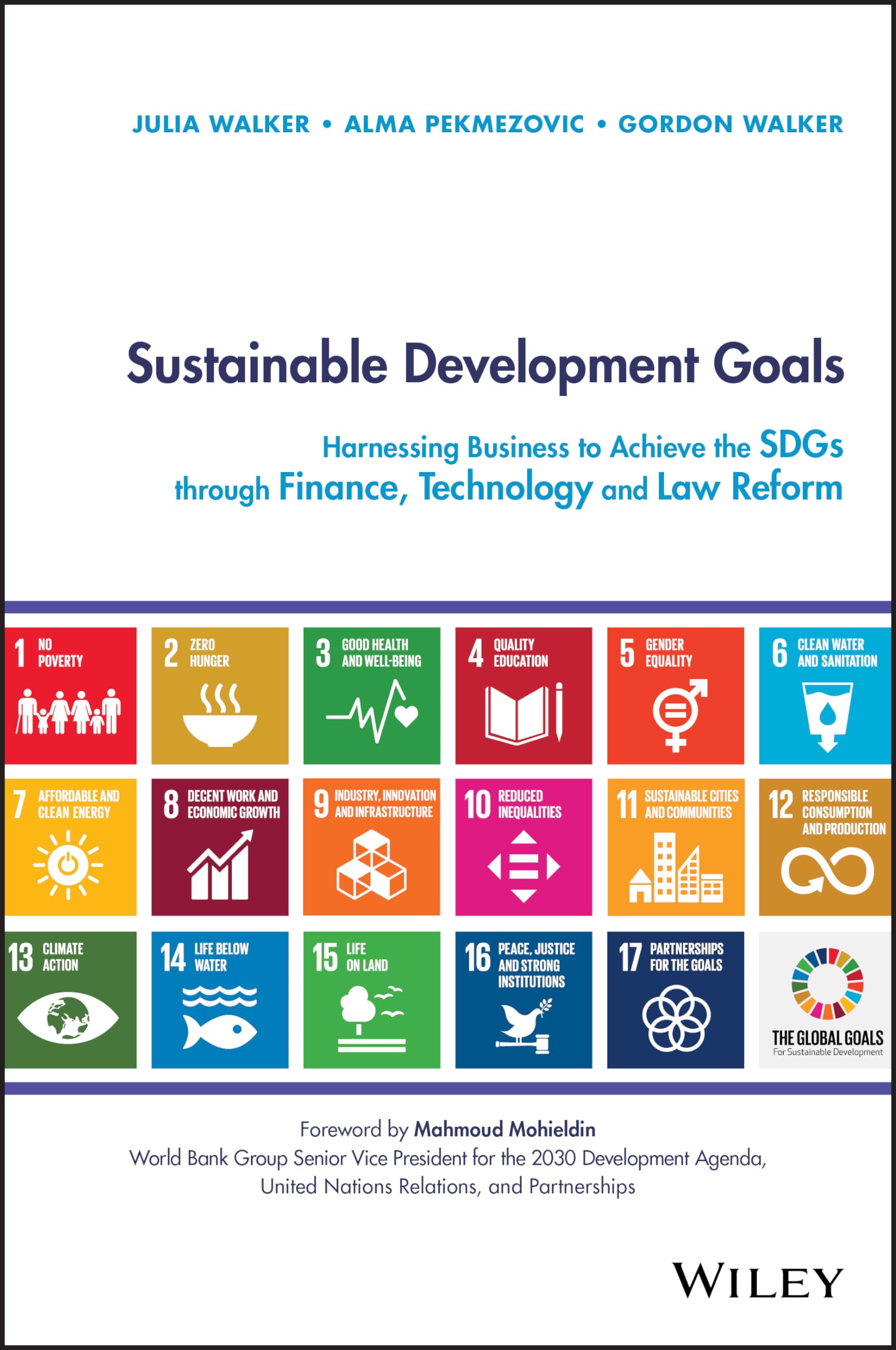 Sustainable Development Goals by Alma Pekmezovic HARDBACK 9781119541813