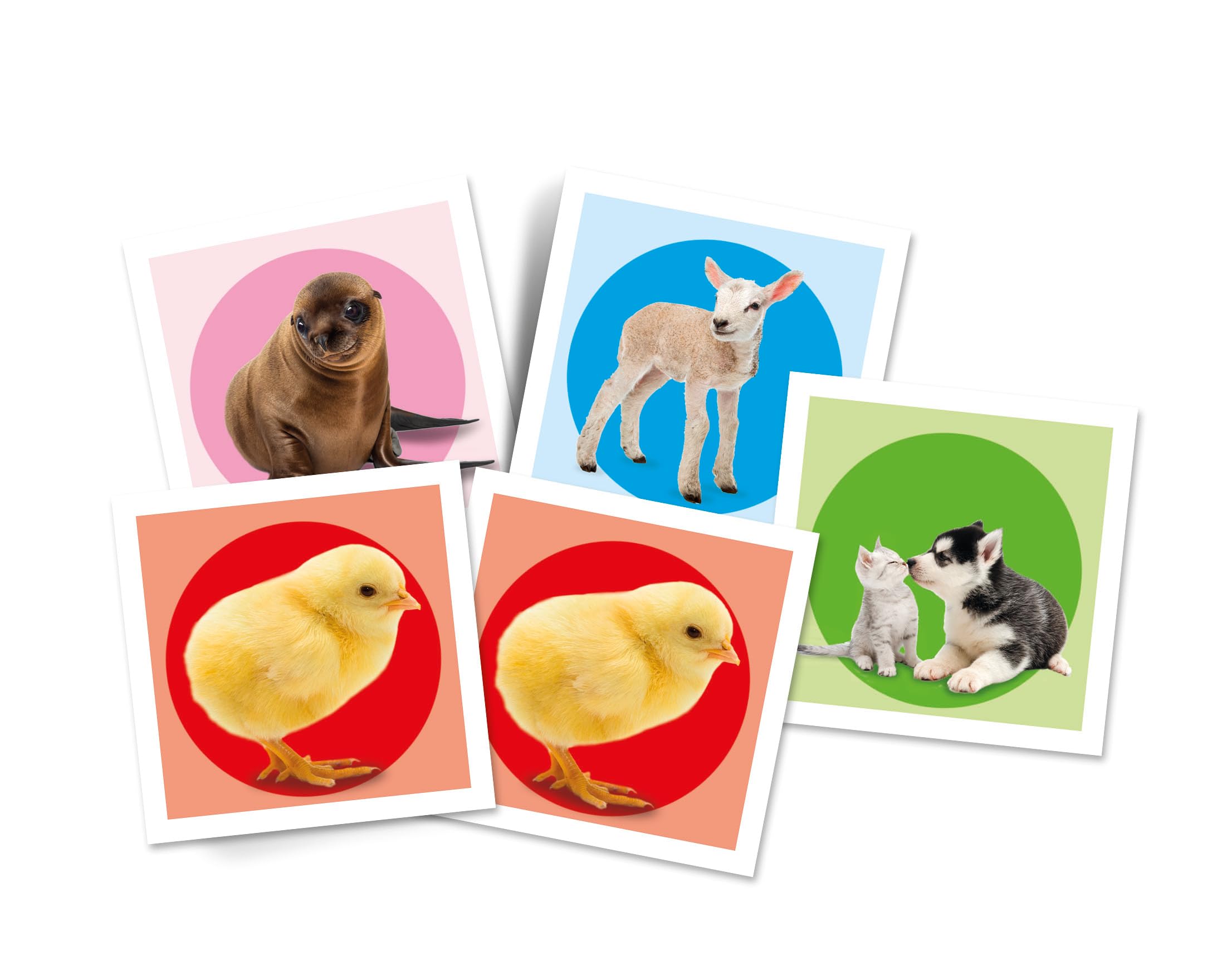 Clementoni Educational Game Memo Pocket Baby Animals 48 Płytek - Gra Dla Dzieci 3-5 lat, Gry Flash Card, Learning Logical Thinking, 2 Players, Prezent dla chłopca/dziewczyny, Cartoon, Made in Italy,