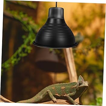 Amazon.co.jp: WESIEVYA 4個 爬虫類用照明器具 爬虫類用ランプ