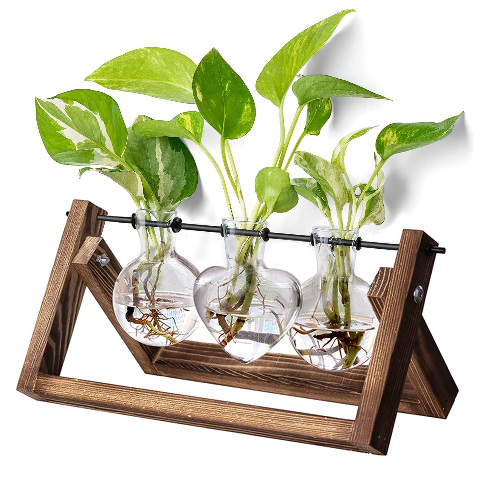 Amazon.com: XXXFLOWER Plant Terrarium with Wooden Stand, Wall Hanging Glass  Planter Tabletop Propagation Station Metal Swivel Holder Retro Rack for  Hydroponics Home Garden Office Decoration - 3 Bulb Vase : Patio, Lawn