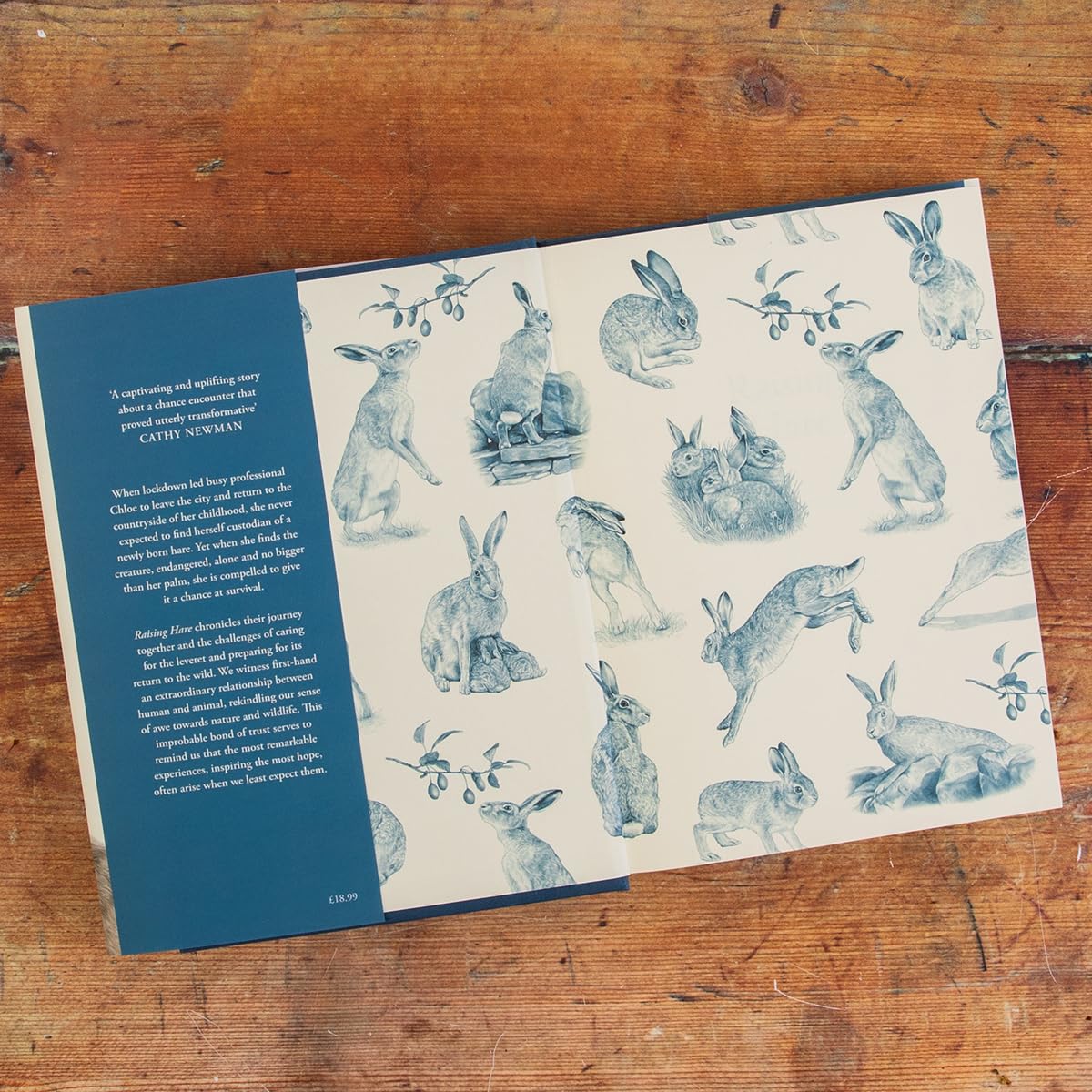 Raising Hare: The heart-warming true story of an unlikely friendship - Image 3