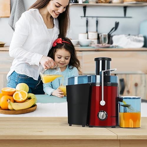 Miniatura 8 de Panana Exprimidor centrífugo exprimidor, exprimidor con motor de 1000 W, fabricante de jugo de doble velocidad para frutas, verduras, canal de