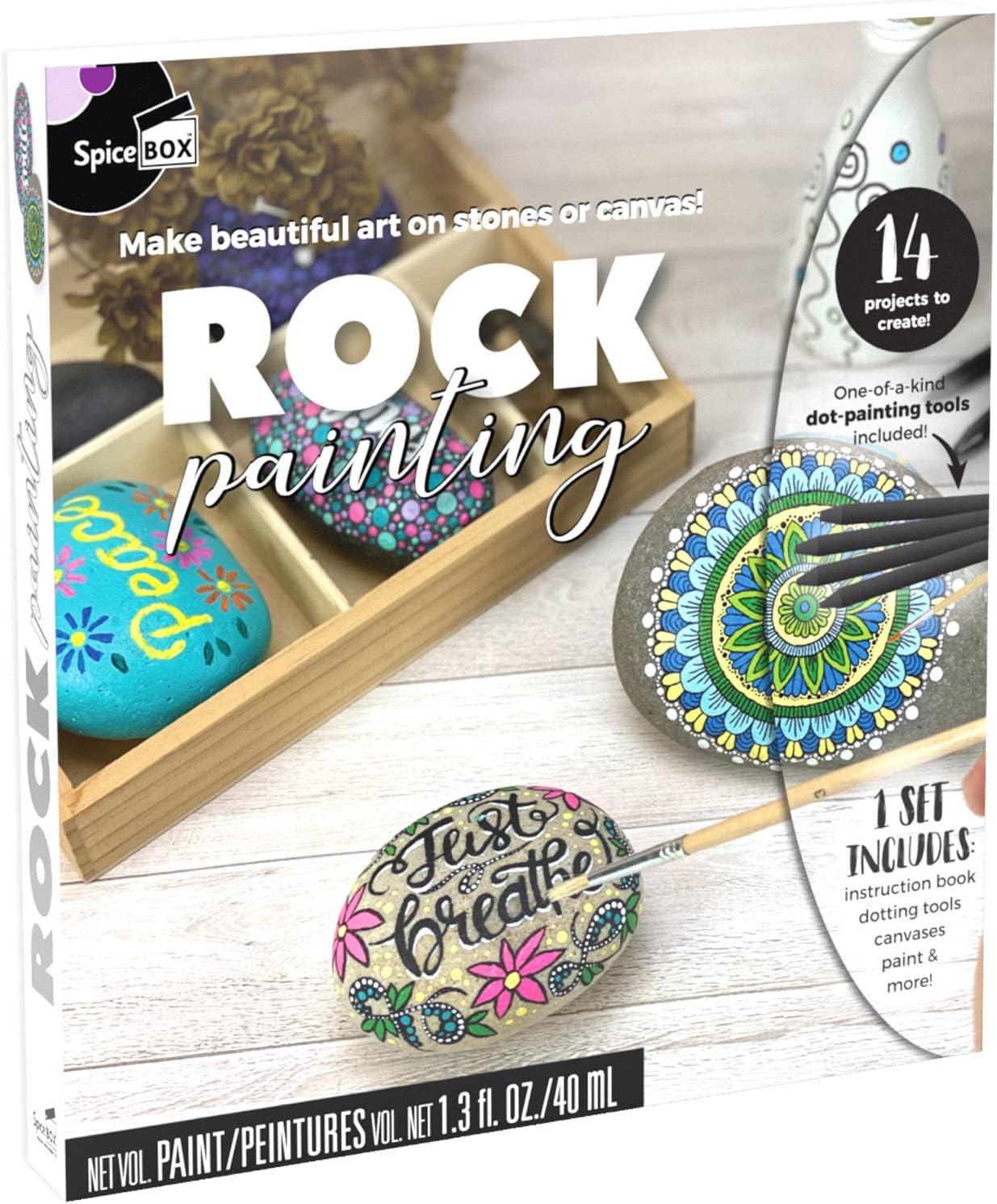 SpiceBox Rock Painting Kit for Adults and Teens, DIY Arts
