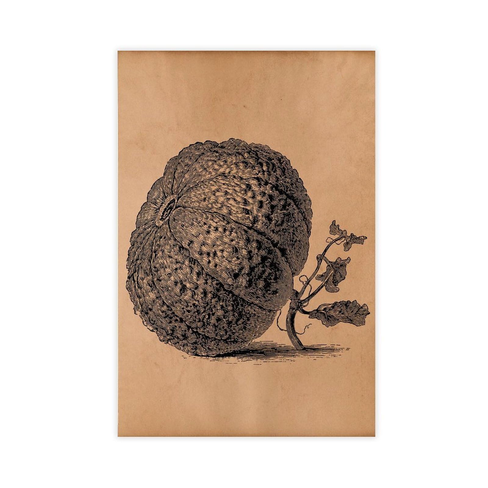 HOHHMY Cantaloupe Melon Canvas Poster for Office Decor Gift