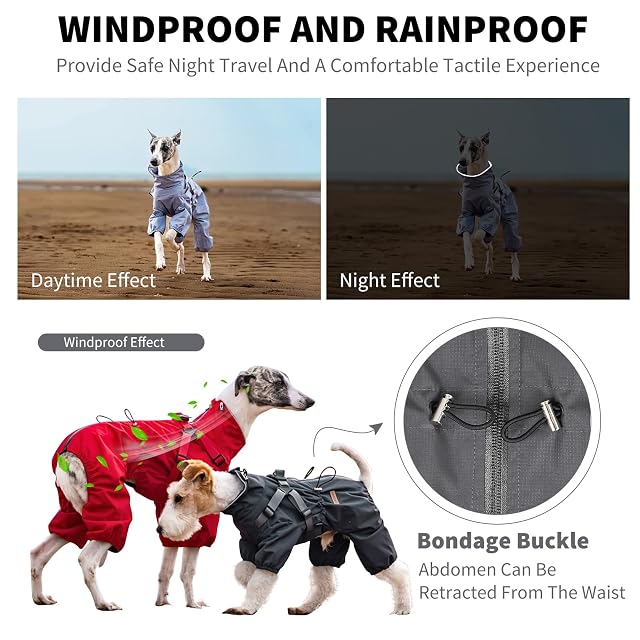 Foto 5 de 6 de PETCUTE Chubasquero Perro Ajustable, Abrigo Impermeable de 4 Patas con Bandas Reflectantes para Paseos