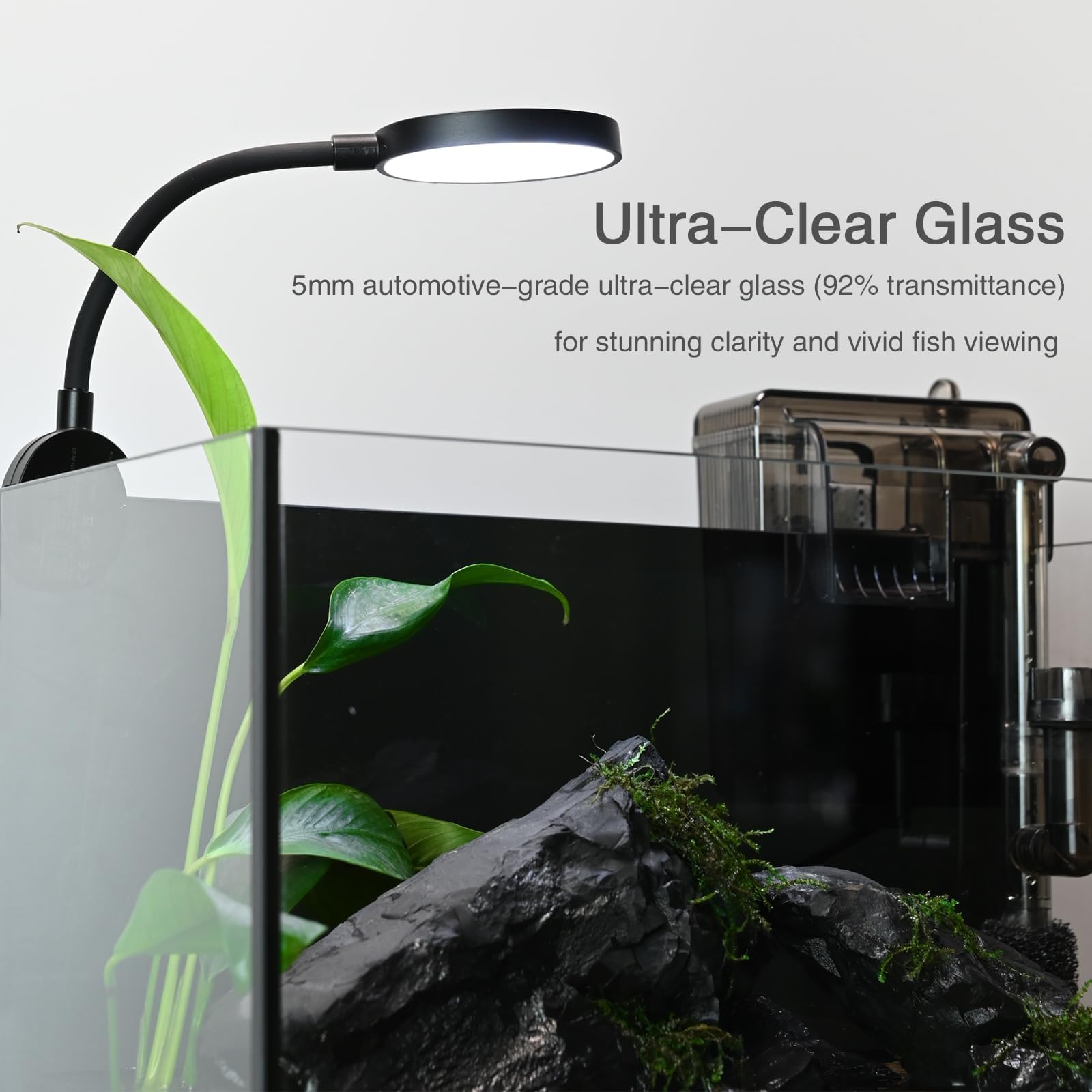 Kit acquario nano naturale da 2,8 galloni, piccolo acquario in vetro trasparente con luce e filtro, adatto per piccoli pesci, gamberetti o pesci Betta, nero.