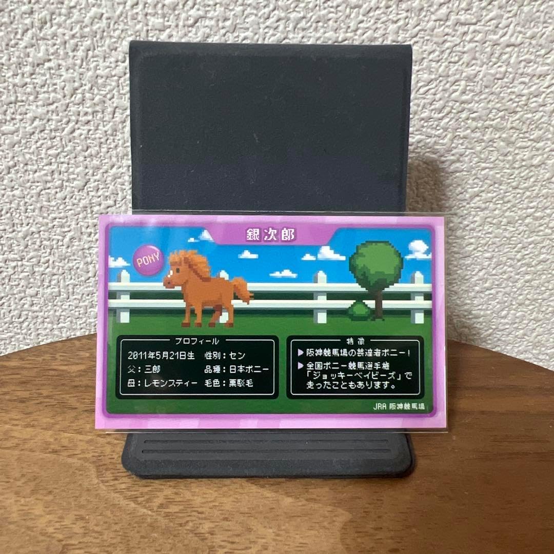 JRA 阪神競馬場 誘導馬 カード トレカ ポニー 銀次郎