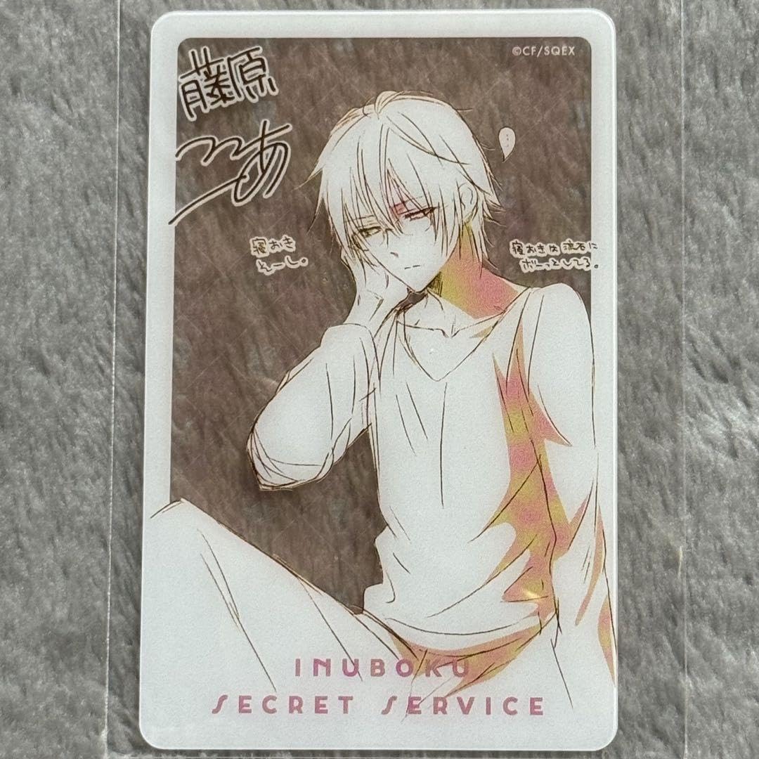 Amazon.co.jp: 妖狐×僕SS 藤原ここあ展 クリアカード 御狐神双熾 V