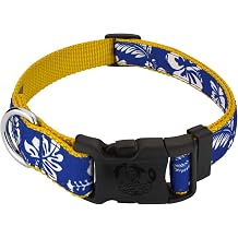 Country Brook Petz - Royal Blue Hawaiian Everyday Ribbon Dog Collar - Bright Spirits Collection Featuring Designs for Any Style 1 Inch, Medium