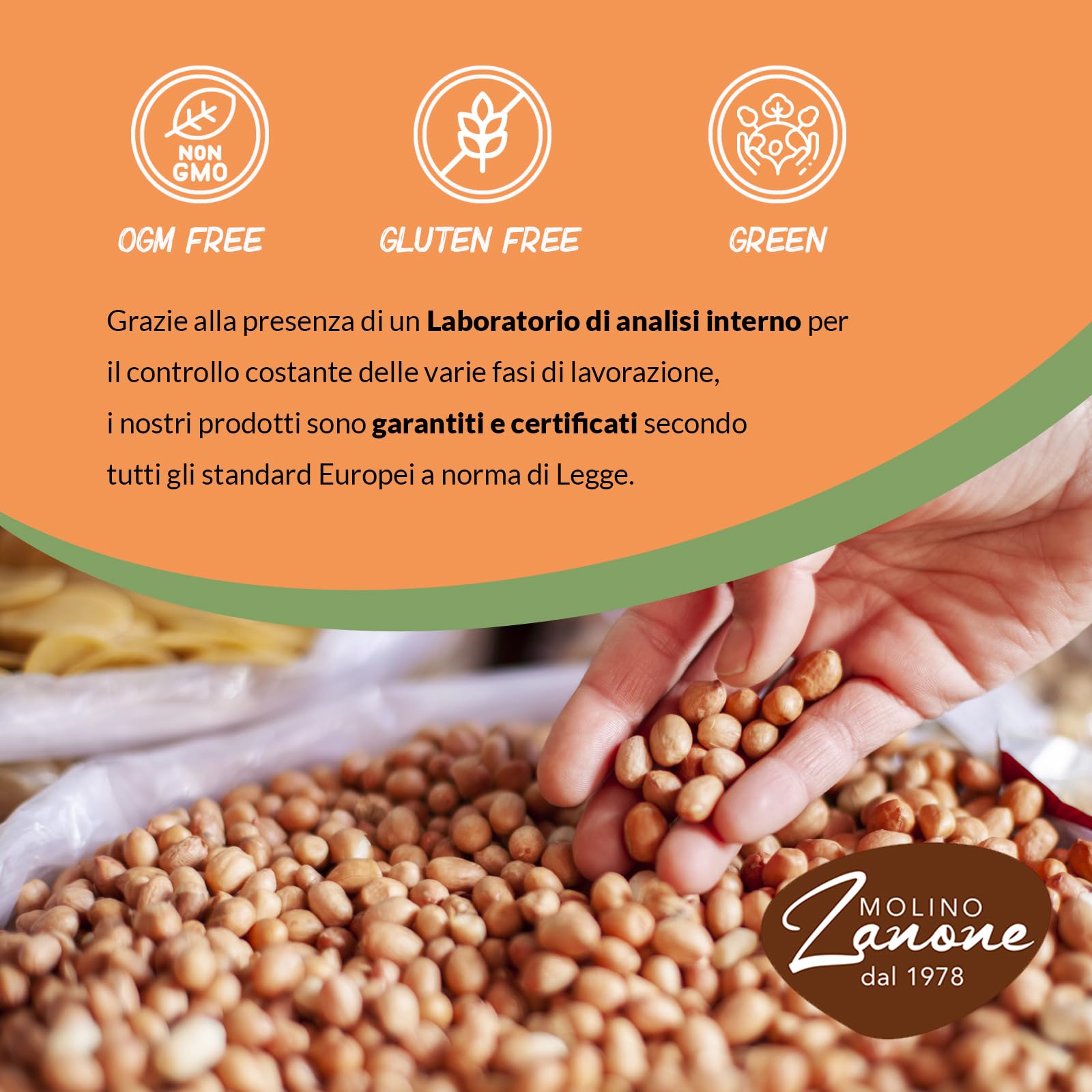 Maxi Box Zanut Contenente 20 Pezzi Da 100 g Castagne Morbide Cotte A Vapore Snack Naturali Pronti Da Gustare Senza Glutine E Senza Conservanti Basso Contenuto di Grassi e fonte Di Fibre