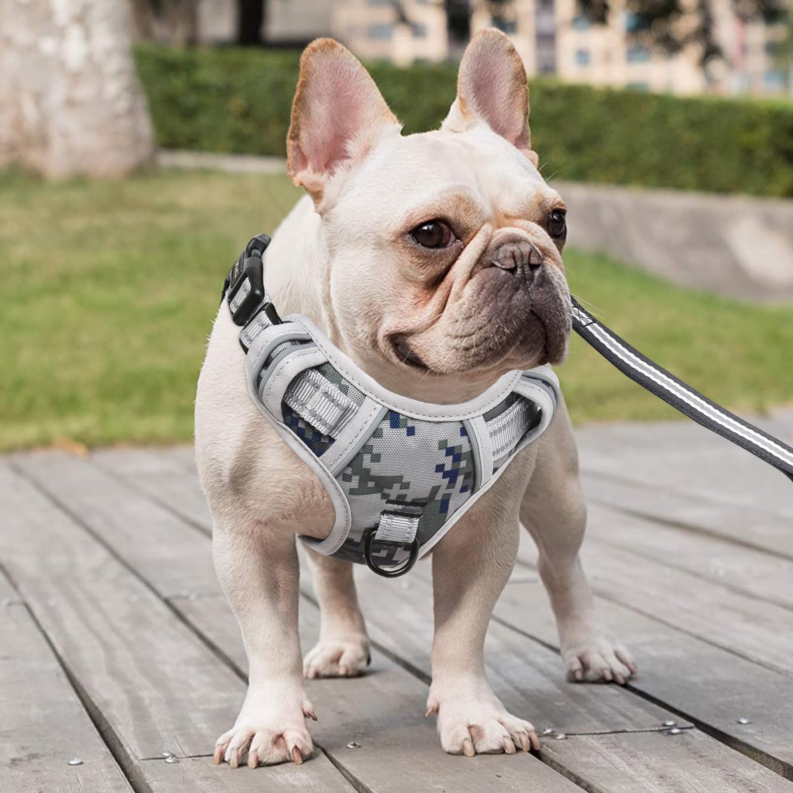 HEELE Pettorina Cane, Imbracatura Sganciata Rapido dal Collo, Pettorina Anti-tiro Riflettente e Regolabile con Maniglia Comoda, Morbida e Imbottita per Cani Piccola Media Grande, Mimetico Grigio S