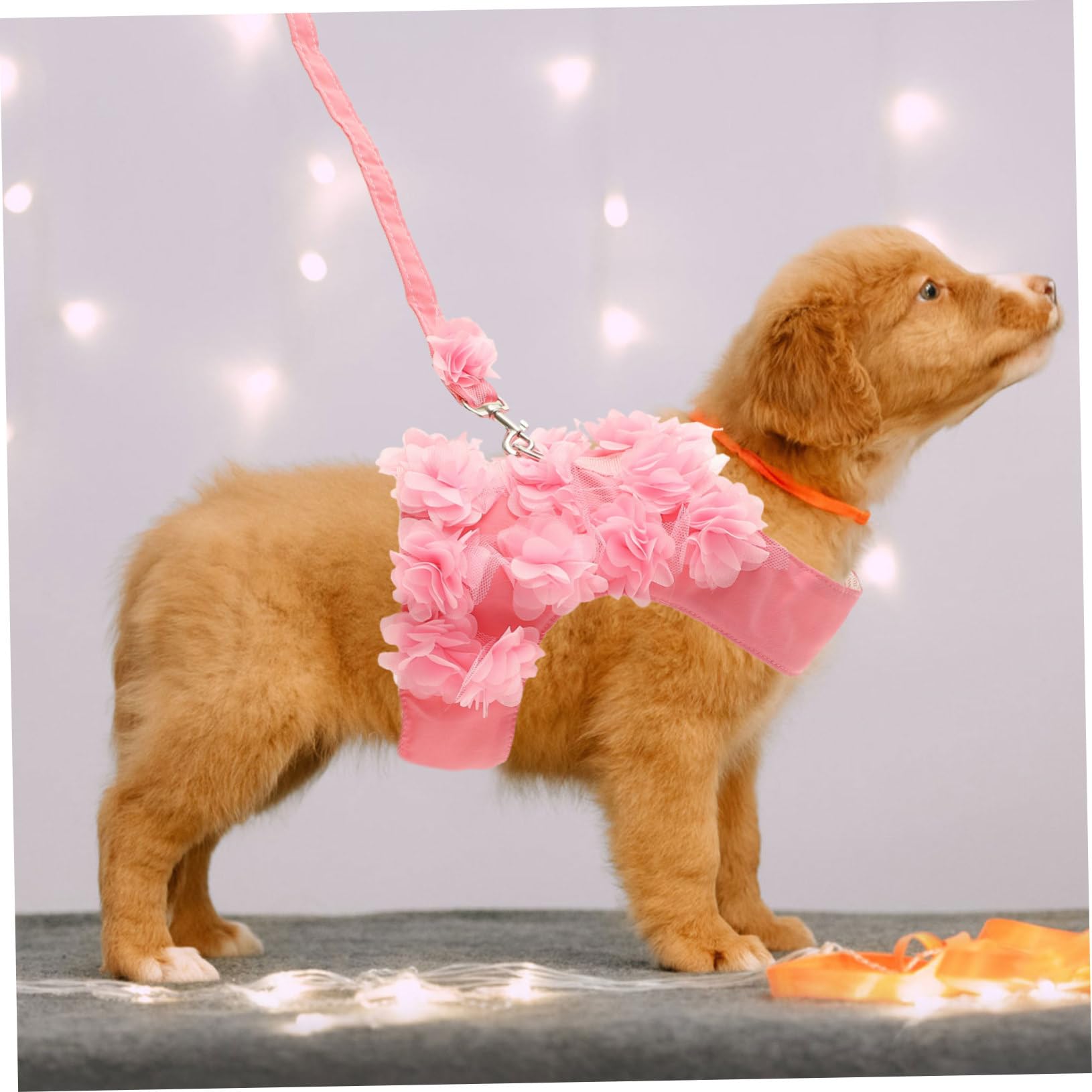 Beavorty 3stücke Verstellbares Blumen-Muster Haustiergeschirr Für Hunde Und Katzen Atmungsaktives Brustgeschirr Mit Traction Rope Für Frühling Und Sommer Zufällige Farben
