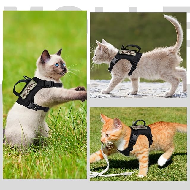 Foto 6 de 7 de Arnés táctico para Gatos para Caminar a Prueba de Escapes
