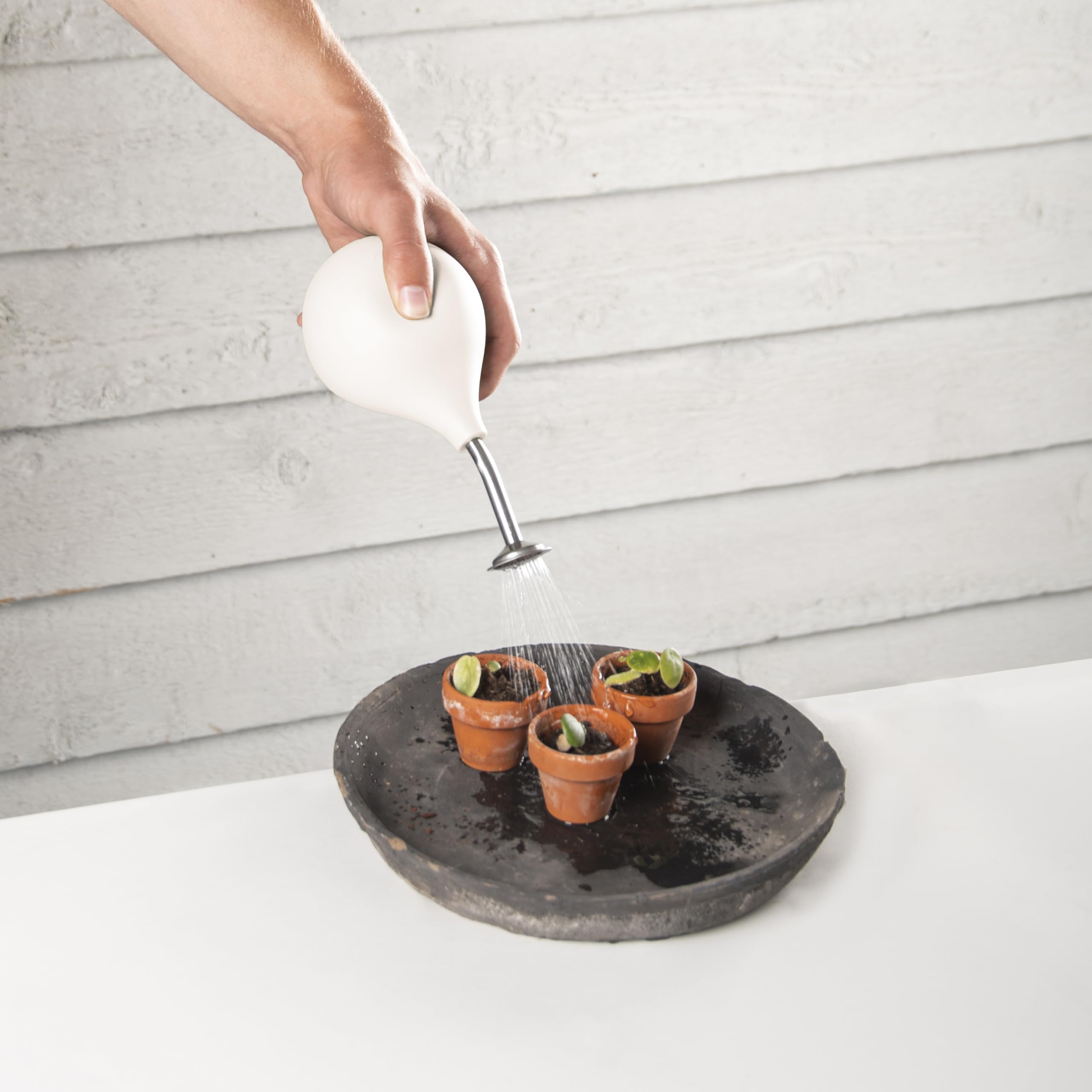 Arrosoir Mini Pression Manuelle 450 Ml Pour Plantes D'intérieur - 2 En 1 (pulvérisation Et Arrosage), Transparent, Design Ergonomique