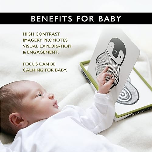 Miniatura 7 de Tarjetas para el bebé Wee Gallery Art