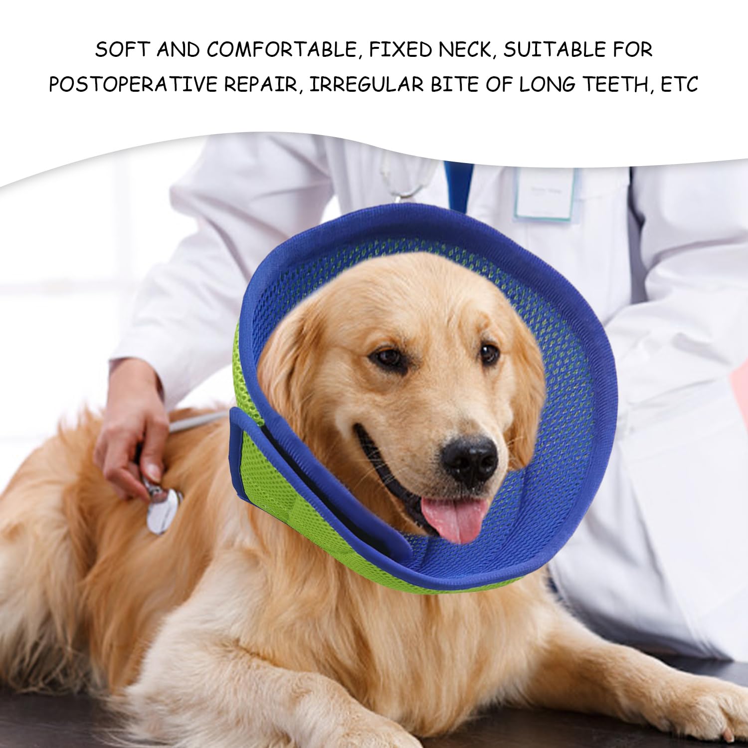 1 Stück Haustierhalsband, Schutzhalsband Für Katzen Und Hunde, Hundekegel Zur Postoperativen Genesung, Haustierschutzkopfbedeckung, Haustierbedarf