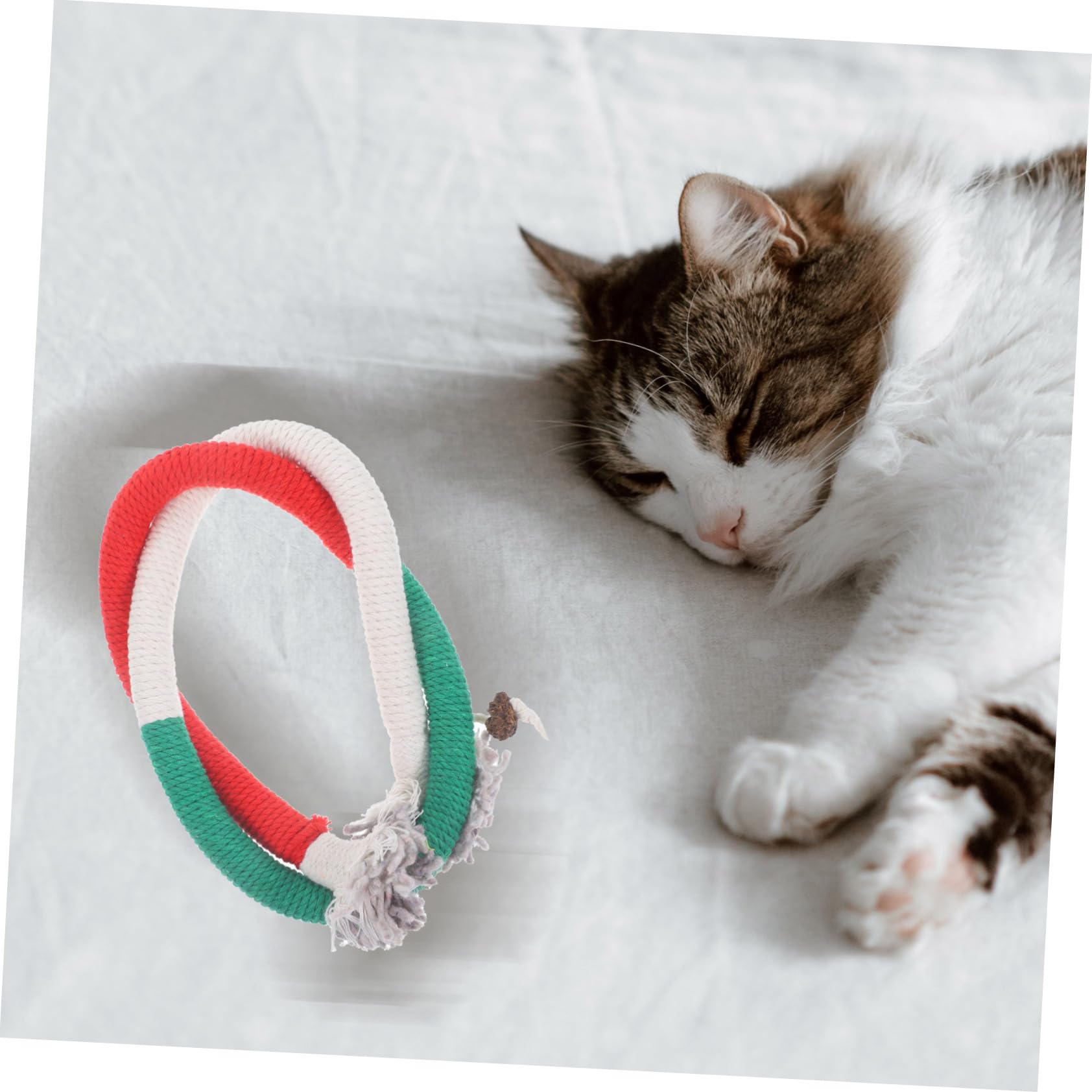 SUPVOX 15pièces Jouets Corde à Mâcher pour Chat avec Herbe à Chat Stimule Instinct De Chasse