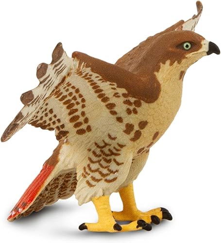 Miniatura 5 de Safari Ltd. Figura de halcón de cola roja, figura detallada de plástico de 5.75 pulgadas con envergadura, divertido juguete educativo para niños,