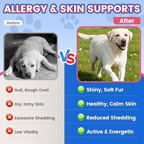 Miniatura 7 de Omega 3 para perros, 500 masticables para piel y pelaje para perros, aceite de pescado de linaza de salmón para perros, alivio de la piel seca y con