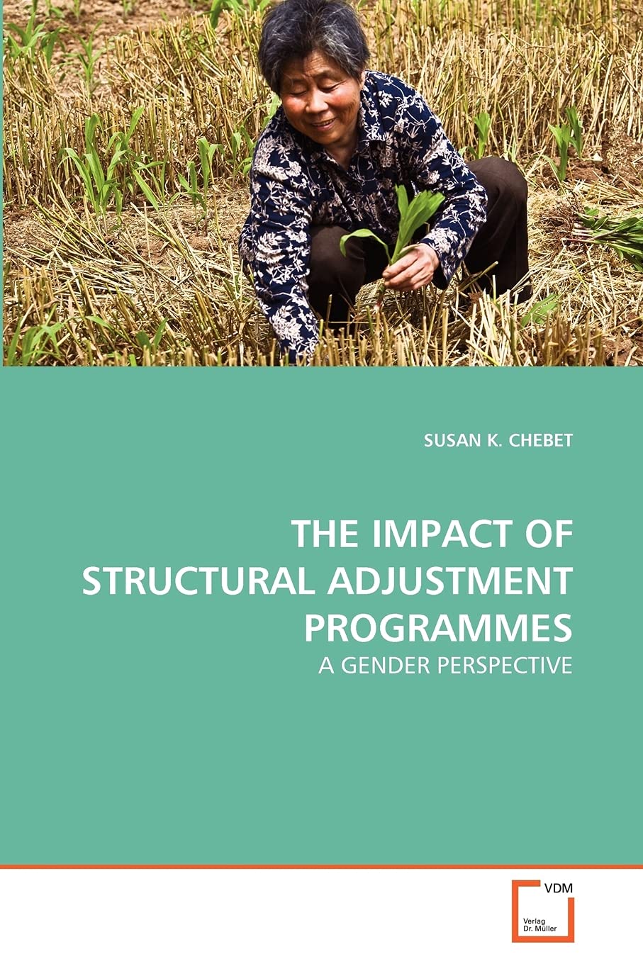 THE IMPACT OF STRUCTURAL ADJUSTMENT PROGRAMMES: A GENDER PERSPECTIVE