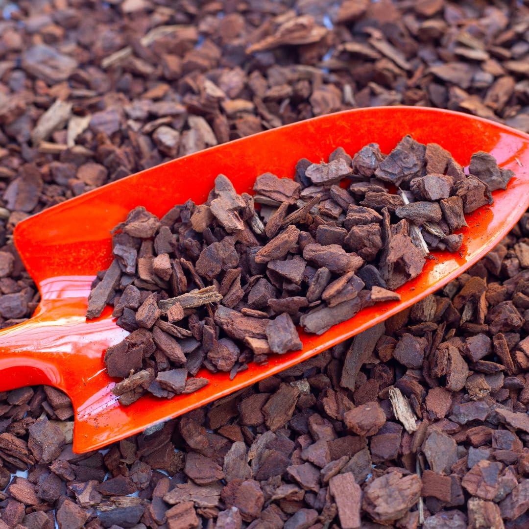 Orchid Bark 3-15mm Fine Grade Fast Draining Potting Medium !100% Potting Bark (1L)