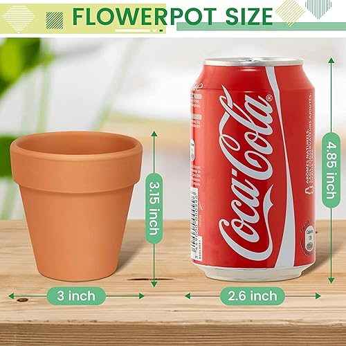 Miniatura 5 de FowaBay Paquete de 16 macetas de terracota de 3 pulgadas, macetas pequeñas de terracota para plantas, suculentascactus, mini macetas de arcilla con