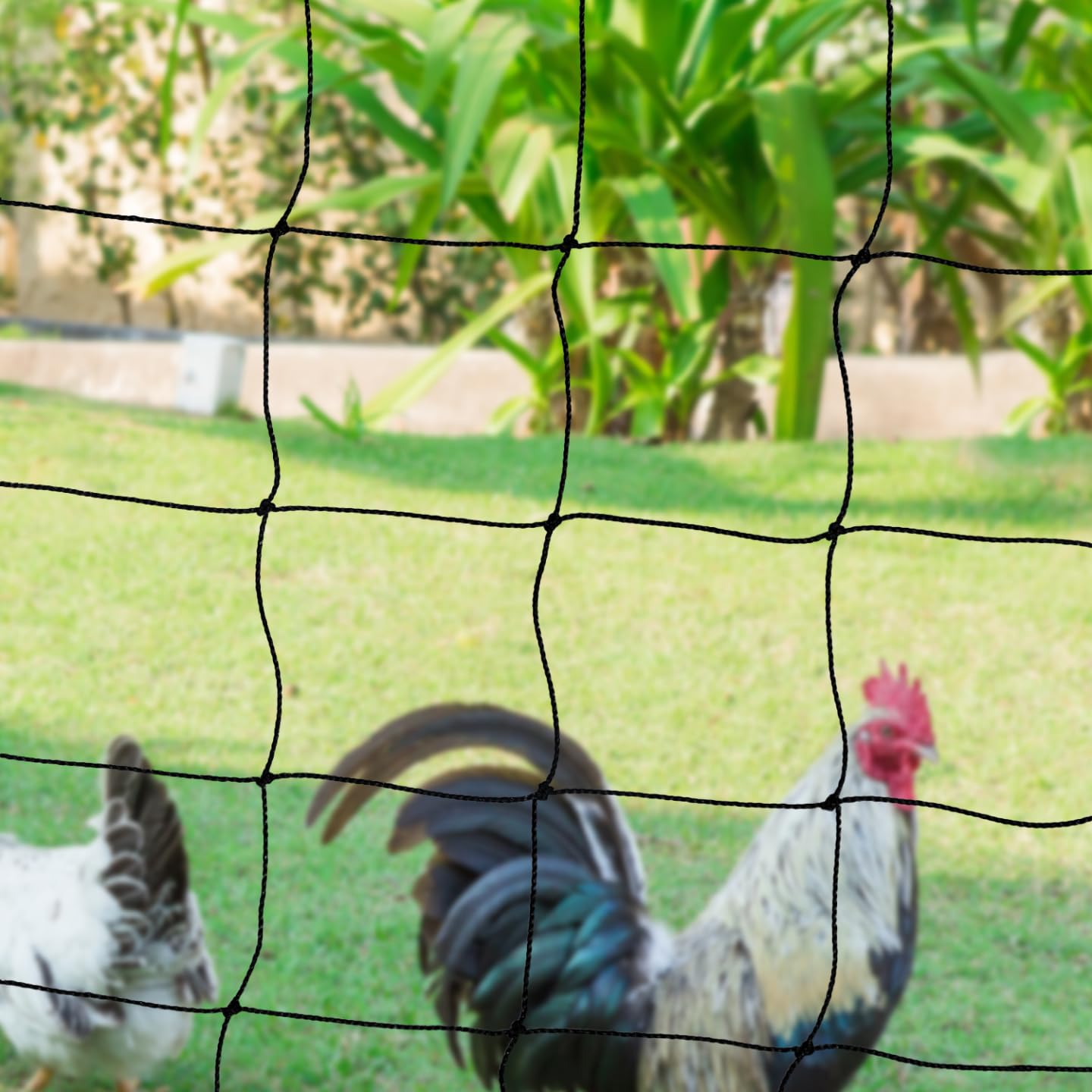 IDMarket – Kit de valla de red de gallinas 50 m con puerta 15 estacas doble punta