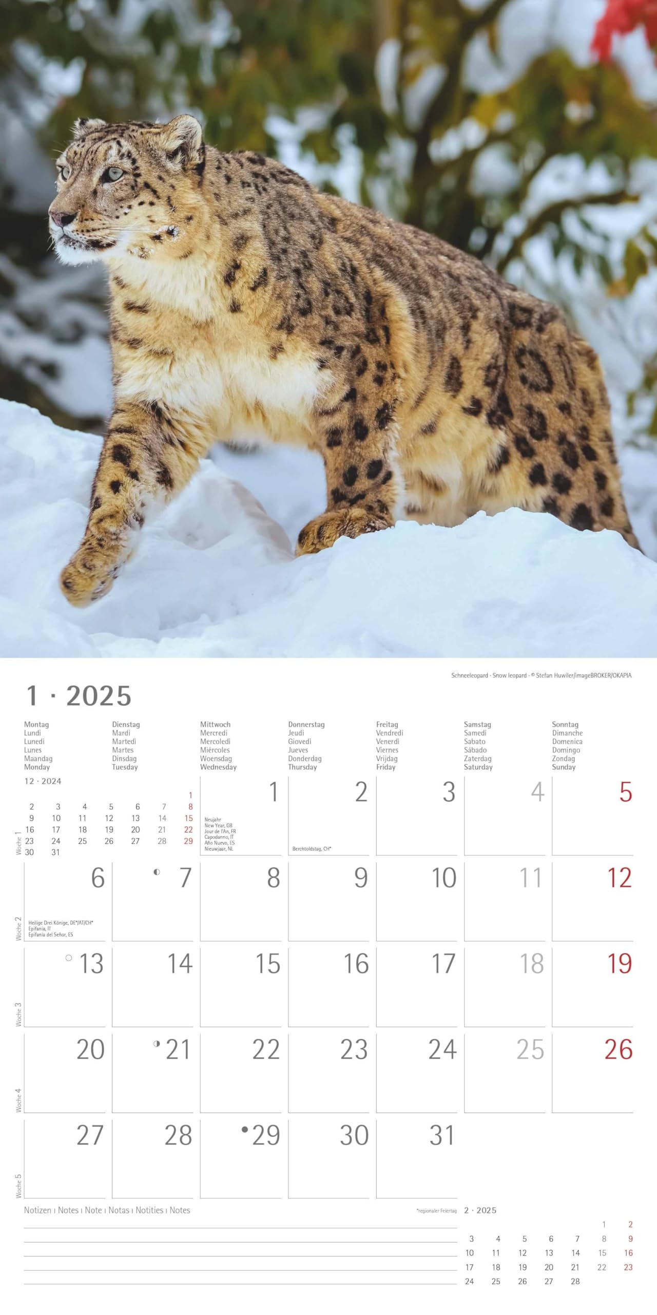 Calendario Da Parete Cats 2025 - 30x30 Cm | Alpha Edition Con Festivit&agrave;