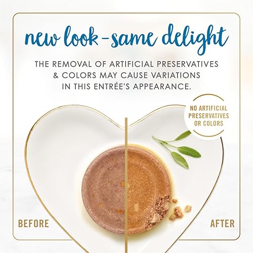 Miniatura 2 de Comida Purina Fancy Feast húmeda, enlatada, para gato adulto