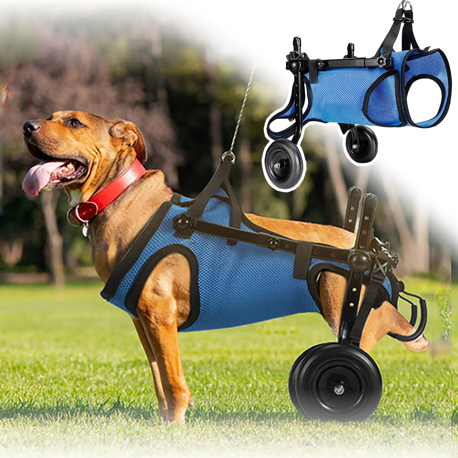 Silla de ruedas para perros para ayuda de movilidad, soporte ajustable de doble rueda para perros discapacitados y ancianos
